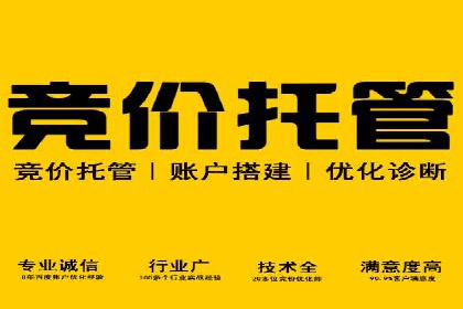 行业领先企业的SEM开户成功案例
